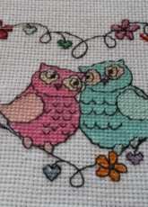 Owls