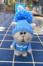 Cat in a hat