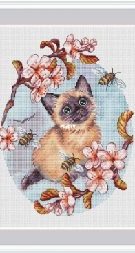 A Kitten Named Gav by Elena Lartsova SAGA