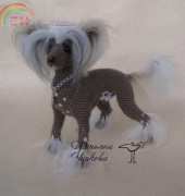 Kanareyka-Tatyana/Tatiana Chirkova - Chinese Crested Dog - English- Translated