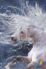 HAED HAELAP 164 Splash by Laura Prindle