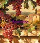Arxinda - Time in Tuscany
