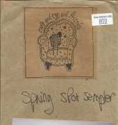 Ewe & Eye & Friends EEF408 Spring Spot Sampler