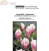 Kreuzstich Kreativ - Magnolia