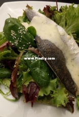 Fish & Salad