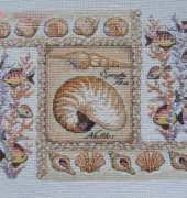 Dimensions - Nautilus shells