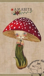 Fly Agaric  by Victoria Ivchenko / Viktoriya Ivchenko