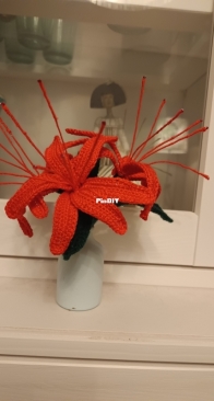 Lycoris flower