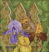 Rogoblen 7.53 Butterfly iris