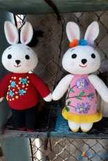 rabbit family