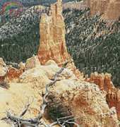 Artecy Cross Stitch - Landscape 5