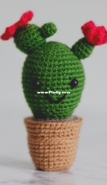 Ronjas Ami Friends - Moroshky - Blooming Cactus - Free