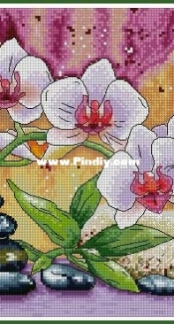 Orchid by Anastasia Soloshenko XSD