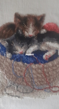 Котята в корзине.