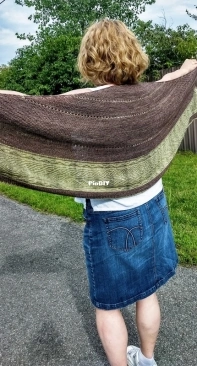 Whales Shawl by Nancy Pelletier-French-Free