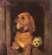 Laura Stitch - ANIM 050 - Dogs