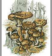 Permin Calendar 1983 Armillaria Merella