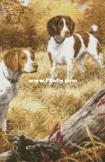 Chimera  Pheasant Hunting XSD