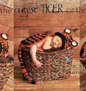 Tiger- Cuddle Critter Cape Newborn Prop by Elisabeth Spivey