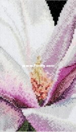Thea Gouverneur - TG 0495 - Magnolia XSD