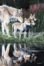 HAED HAEKADMINI 136 Mini Reflections by Kevin Daniel (Large Format)