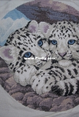 Animals