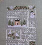 CCN- Snow Sampler