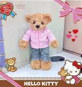 Pink Shirt Bear