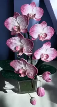 Handmade By Ruru - Moth Orchid