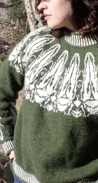 Leafhopper sweater by Meredith Willmott - LeafhopperKnits