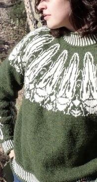 Leafhopper sweater by Meredith Willmott - LeafhopperKnits