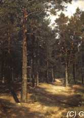 Golden Kite GK 1573 - The Path among the Pines