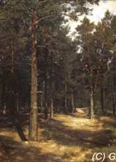 Golden Kite GK 1573 - The Path among the Pines