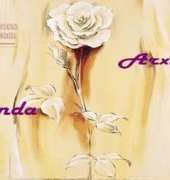 Arxinda - Armonia