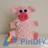 Sol Maldonado - Pig blankie