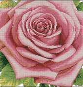 Dome 110811 - Rose