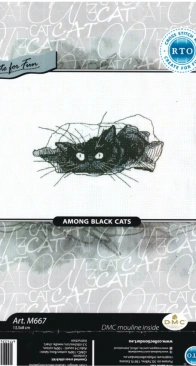 RTO - M667 - Among Black Cats