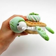 Angela toylesson _ turtle _ English
