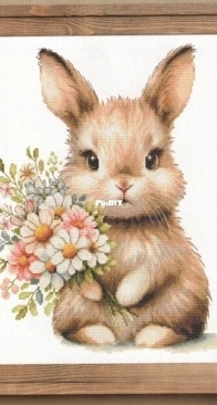 Coricamo 10945 Rabbit_DKM2025-02 XSD
