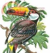 Eva Rosenstand 12-383 Toucan 2