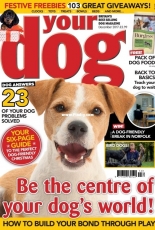 Your Dog - December 2017