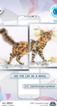 RTO M842 See the Cat as a Whol XSD