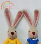 Suvabhat- Buddy Rabbit - English