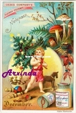 Arxinda - December