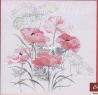 Riolis 339  Poppies PCS