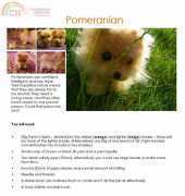 Roman Sock - Brigitte Read - Pomeranian