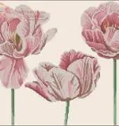 DMC BK611 Hearts of Tulips