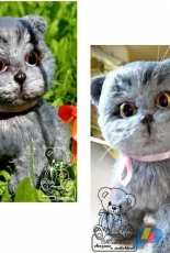 Julia Ogol - Julia Yu Ogol - British cat Basia - Russian