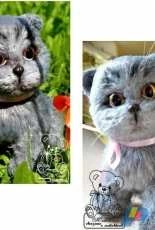 Julia Ogol - Julia Yu Ogol - British cat Basia - Russian