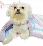 Lion Brand Yarn-LBW80030 -Super Plush Pet Afghan-Free